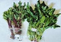 春野菜が美味しいっ♪