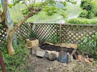 「ノーディグ菜園」ダンボール不耕起農法（段ボールマルチ）の畑作り