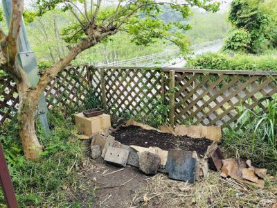 「ノーディグ菜園」ダンボール不耕起農法（段ボールマルチ）の畑作り