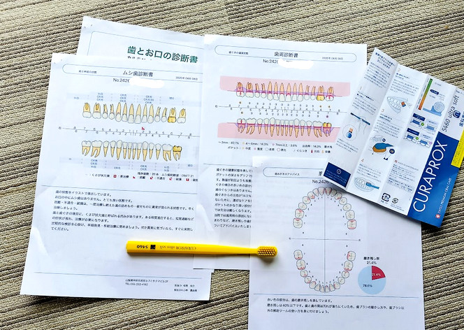 久々の歯科診療｜探し回った甲斐あり♪とても良い歯科医院でした
