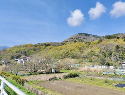 フェードアウトする世界。静かに滲みひらけていく穏やかな空間