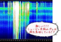 突然ドーンと疲れる。何だ？この気配は！？シューマン共振のブレが示すものとは
