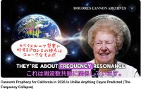 災害の本質は周波数の崩壊。被災は周波数共振による｜D・キャノン⑦