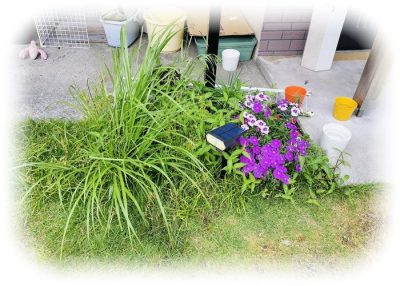 今度はこう来たかぁ！玄関の鍵アウト。シロアリ被害｜次々起きるトラブル