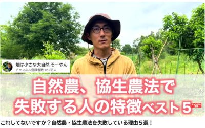 自然農法で失敗しているひとの５つの共通点｜そーやん動画レクチャ