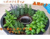 ハーブなどのリボベジ栽培に最適なキーホールガーデン風プランター菜園