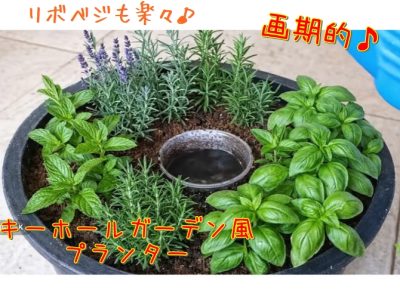 ハーブなどのリボベジ栽培に最適なキーホールガーデン風プランター菜園