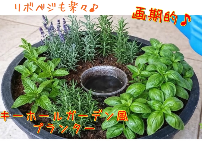 ハーブなどのリボベジ栽培に最適なキーホールガーデン風プランター菜園