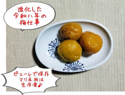充実の令和八年の梅仕事「梅のマリネ」「梅のピューレ」がヒット♪